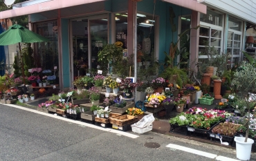 「花雅」　（兵庫県明石市）の花屋店舗写真1