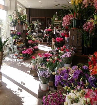 兵庫県明石市の花屋 花雅にフラワーギフトはお任せください 当店は 安心と信頼の花キューピット加盟店です 花キューピットタウン